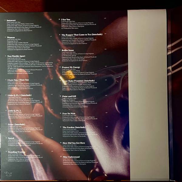Little Simz-3