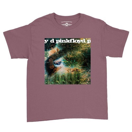 Pink Floyd Saucerful of Secrets Youth T-Shirt - Lightweight Vintage Children & Toddlers