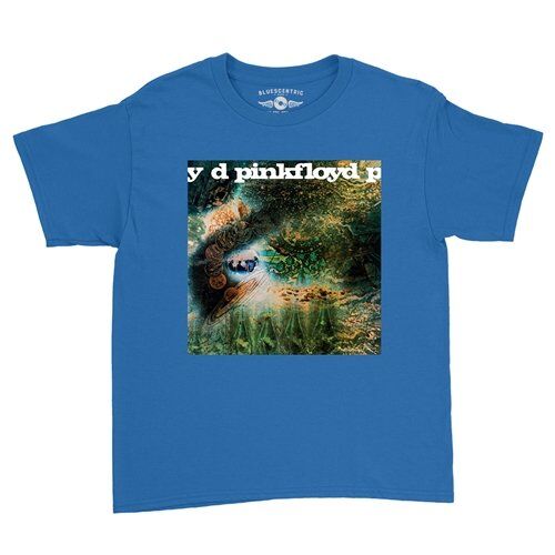 Pink Floyd Saucerful of Secrets Youth T-Shirt - Lightweight Vintage Children & Toddlers